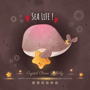 中国一级毛卡片
