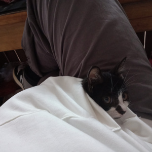 深点深点到底了
