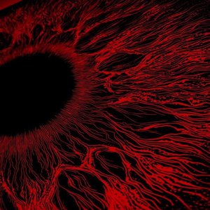 欧美XXXXX性内射
