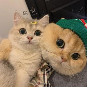 老七把白洁裤子脱了是哪一集
