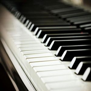 亚裔女张丽和黑人洋人刘玥
