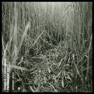 毛片放岀来看一下看
