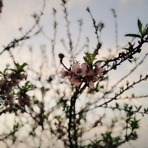 偷吃禁果被奸视频
