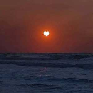 真人做爰视频全过程免费
