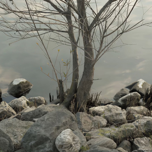 美女福利视频一区二区
