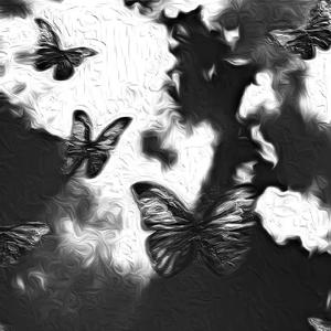 春阳萌花视频全集
