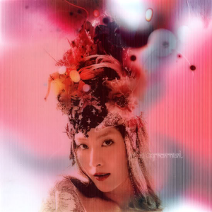 成人免费A片777888
