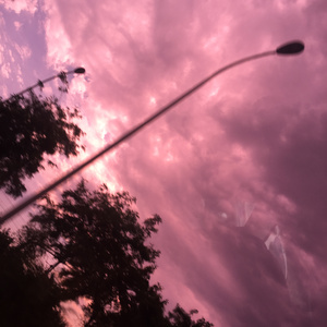 日本A片特黄久久免费观看
