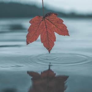 精品人妻无码一区二区三区软件
