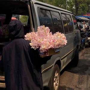 光屁股动漫美女
