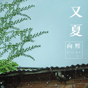 成人免费A片777888
