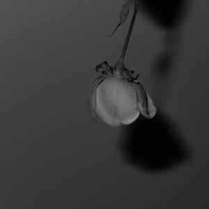 精品人妻无码一区二区三区软件
