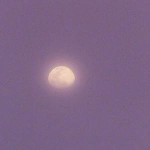 网红直播来月经
