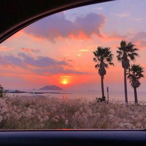 猛操伪娘臭婊子
