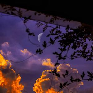 打光屁股㊙️网站
