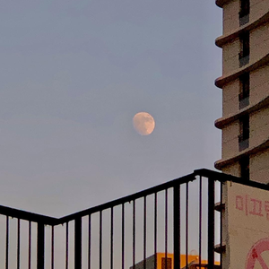 免费女同毛片在线观看
