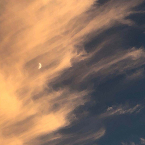 操中国丰满老熟妇逼
