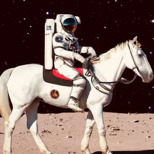 嫩B好日,还是老B好日
