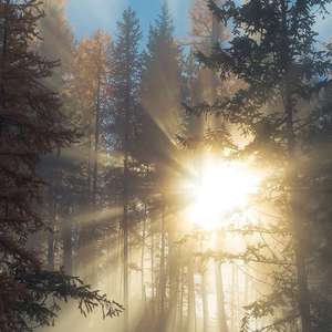 欧美在线激情视频
