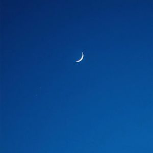 美女福利视频一区二区
