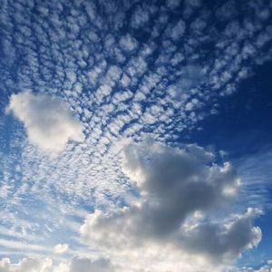 人伦片少妇高潮
