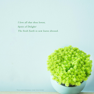 日本60岁高龄老太太模特是谁
