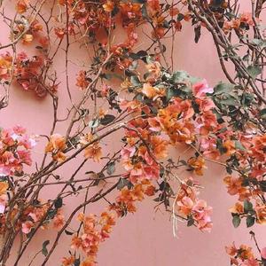 国产偷玩农村老妇女视频
