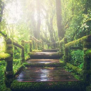 成人性生活裸体做爱
