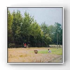 2021无码在线观看
