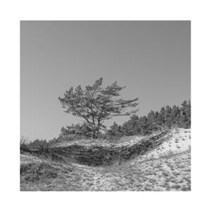 人伦片少妇高潮
