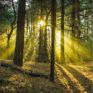 白丝美女被插到底
