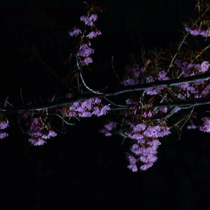 亚洲熟女乱综合一区二区动漫版
